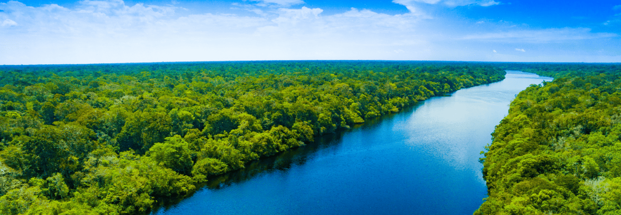 daia - licenciamento para área de app