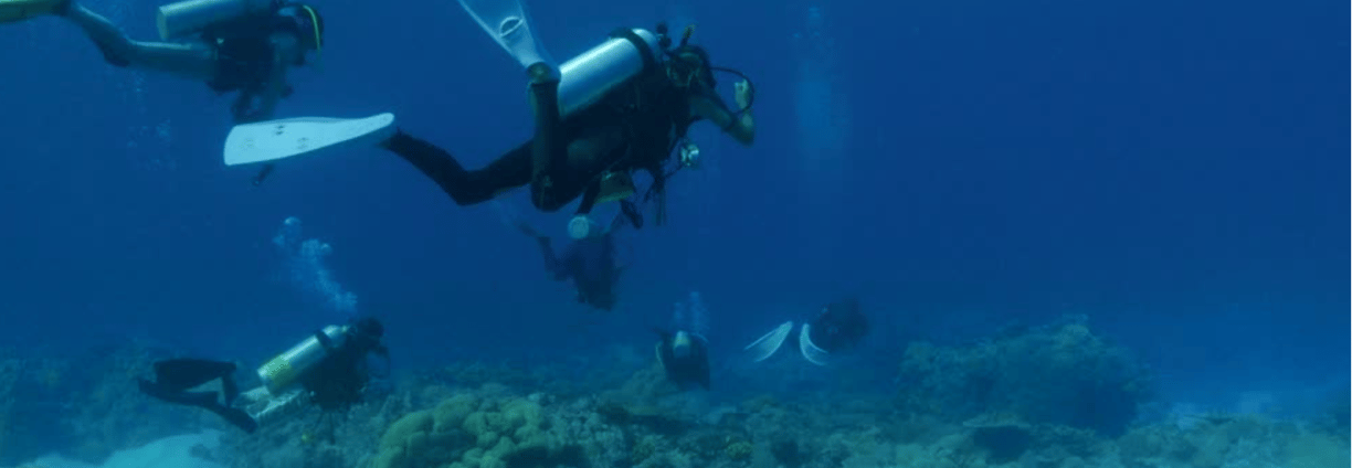 a group of scuba divers in the water