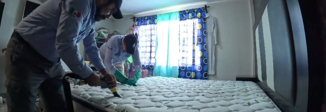Limpieza profesional para erradicar chinches de cama