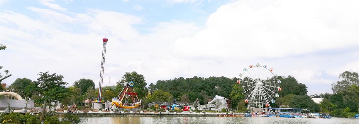 a ferris wheel at a carnival park