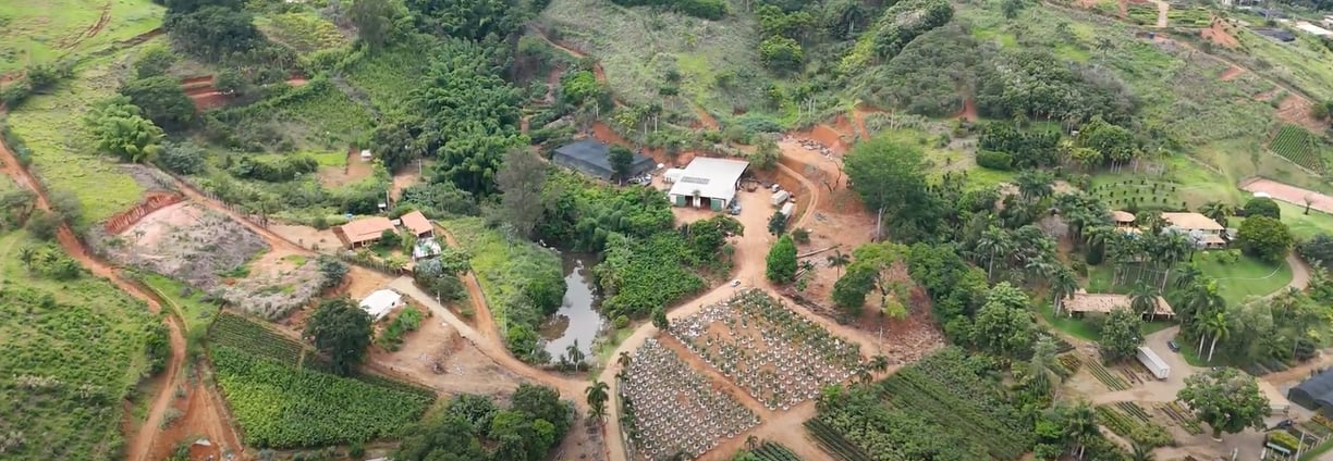 nossa produção em dona euzébia mg, são paulo plantas
