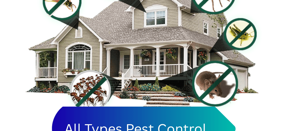 All Types Pest Control Services
