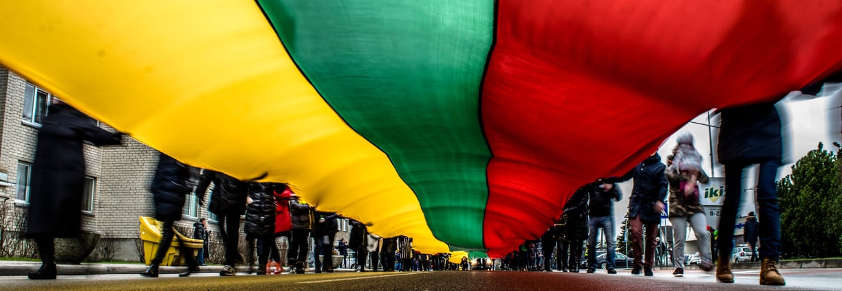 Demonstracija su Lietuvos vėliava