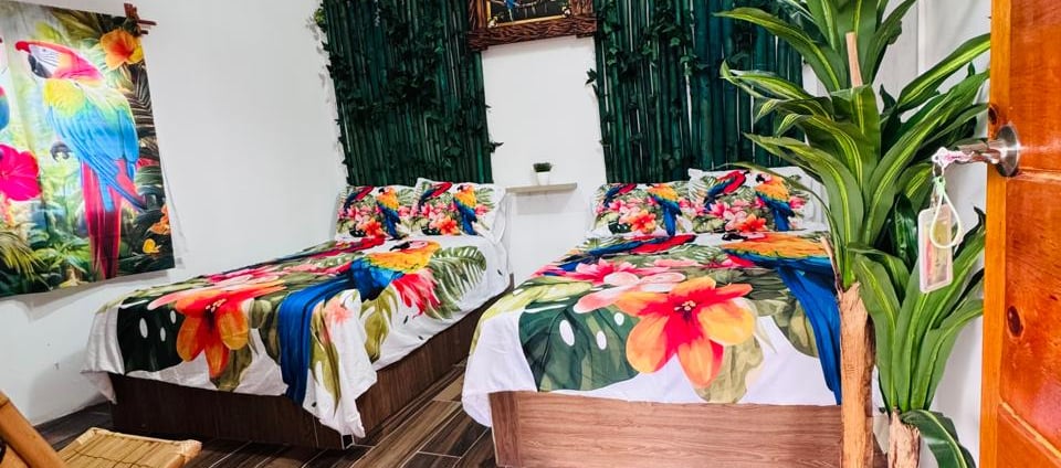 habitación guacamaya distinguida por su naturaleza y aves exóticas