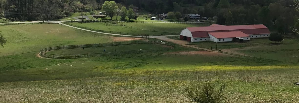 horse boarding facility elizabehton tn