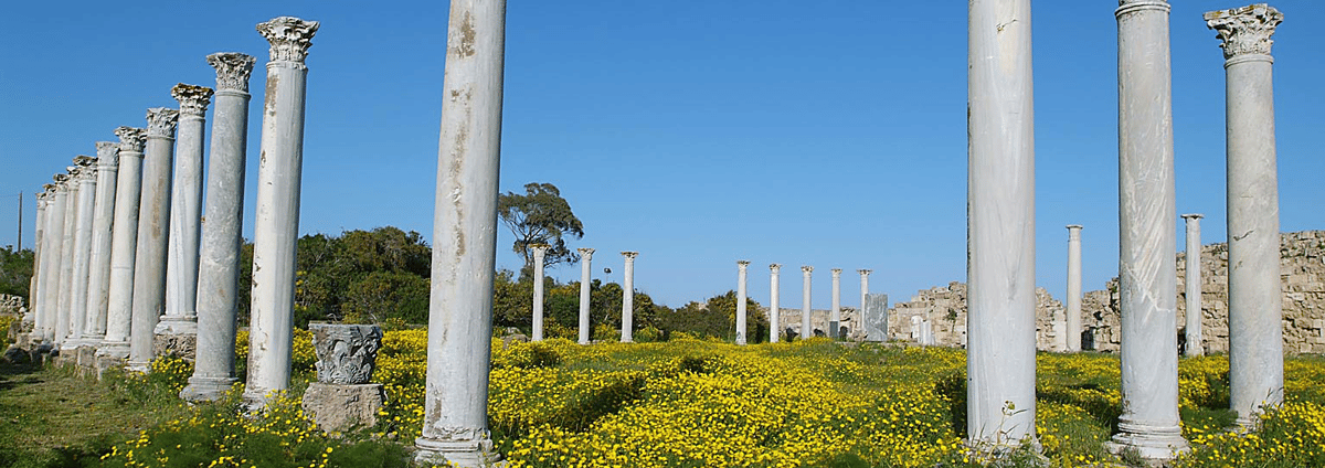 One-on-one Cypriot Turkish speaking lesson online – beginner level