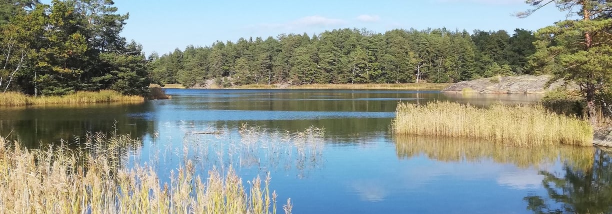 a lake in sweden, there are islands and fir trees. fish for pike in sweden.