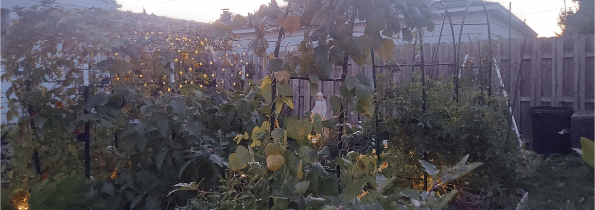 garden inspiration_4