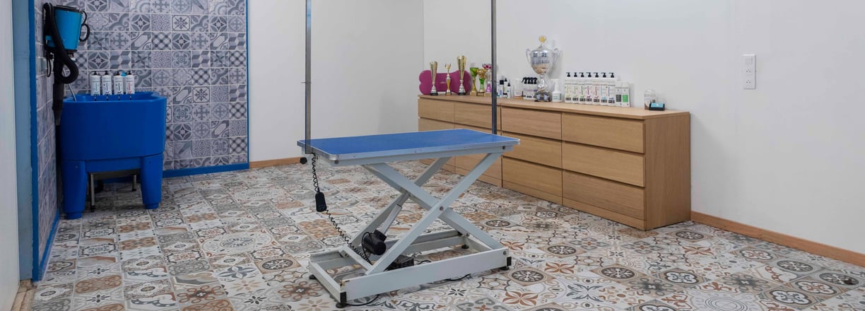 salon toilettage yonne
