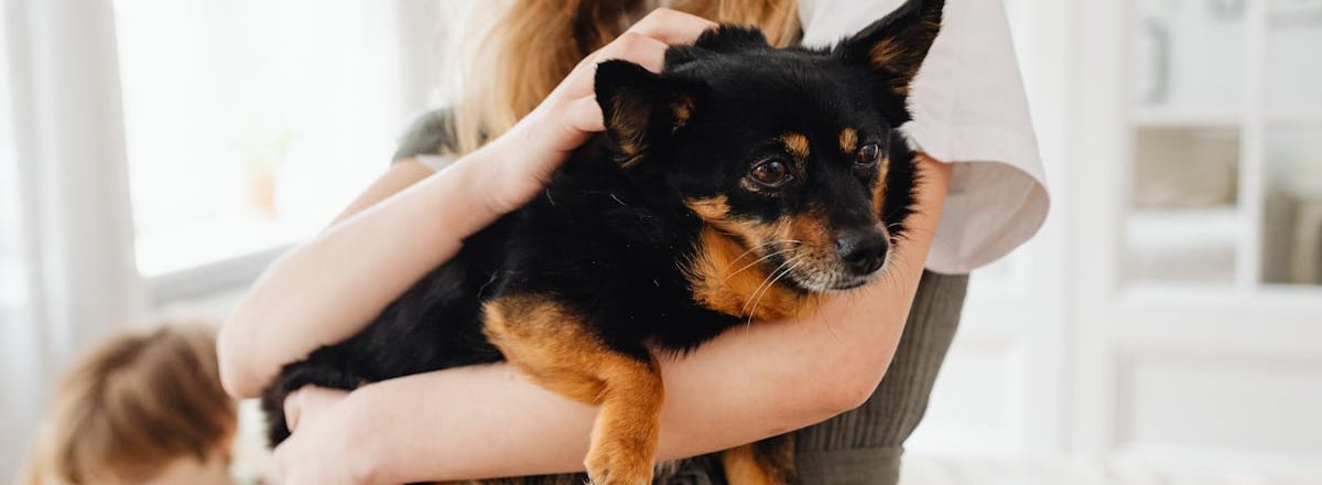 A blonde woman holding a dog