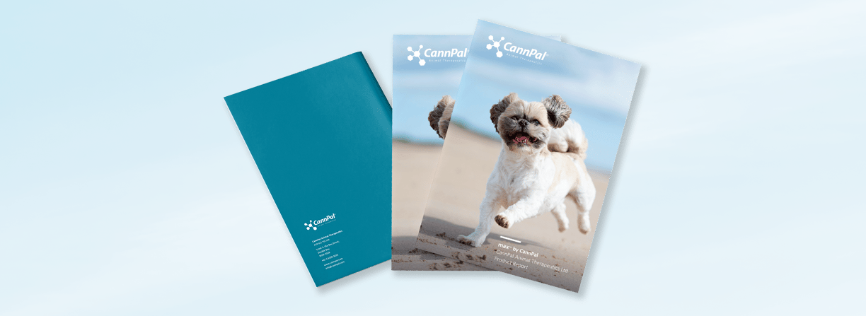 CannMax Product Report, typesetting by Michelle Pirovich, Squeezebox