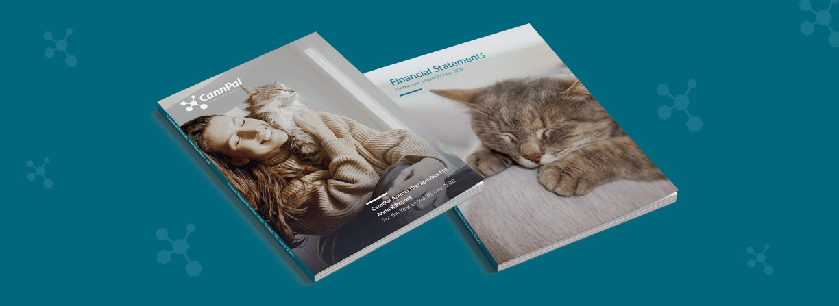 CannPal Annual Report, typesetting by Michelle Pirovich, Squeezebox