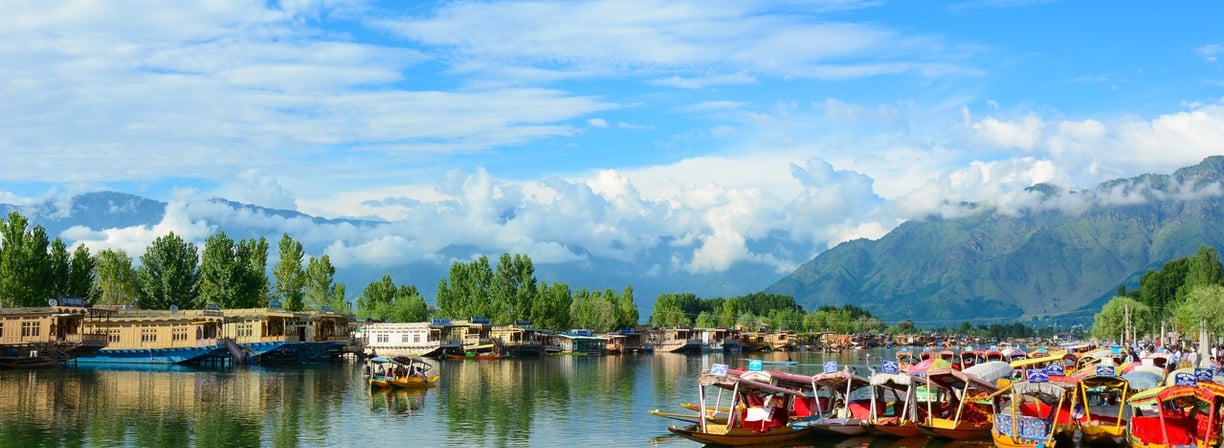 a bunch of houseboats and shikara are parked in a row