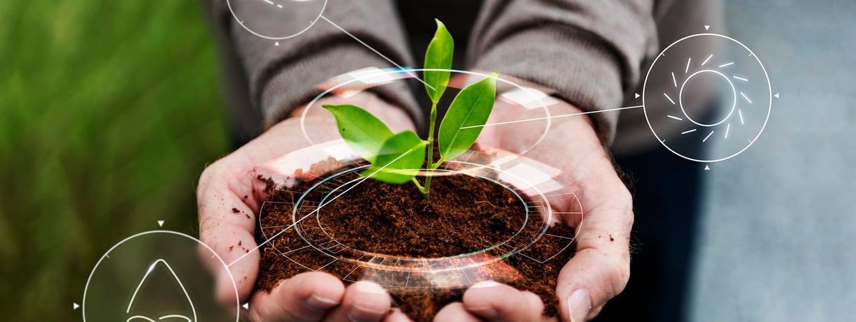 a person holding a plant in their hands