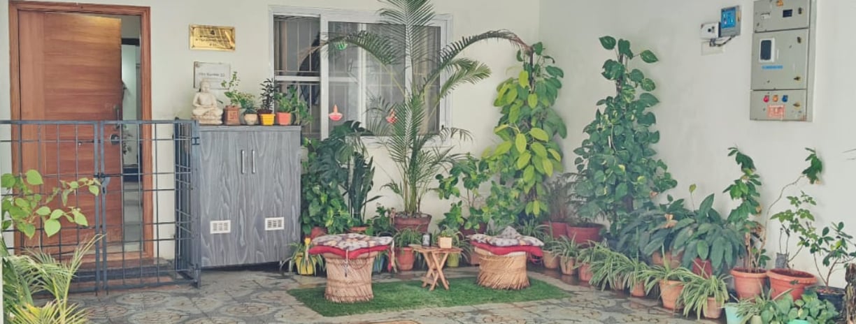Our plants always the first one to greet you | Dog Homestay Boarding