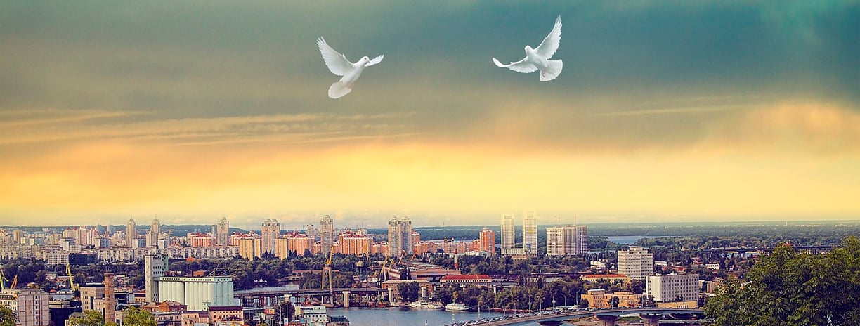 two white doves flying over a city