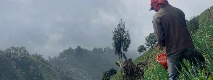 Pertanian ekstrem di Argosari