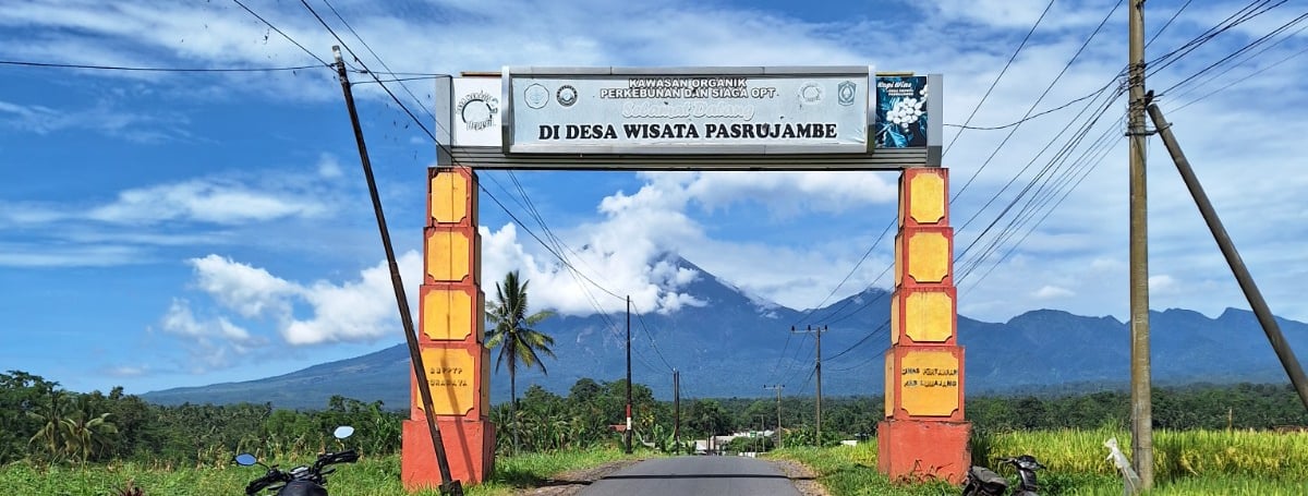Gunung smeru dilihat dari gerbang selamat datang pasrujambe