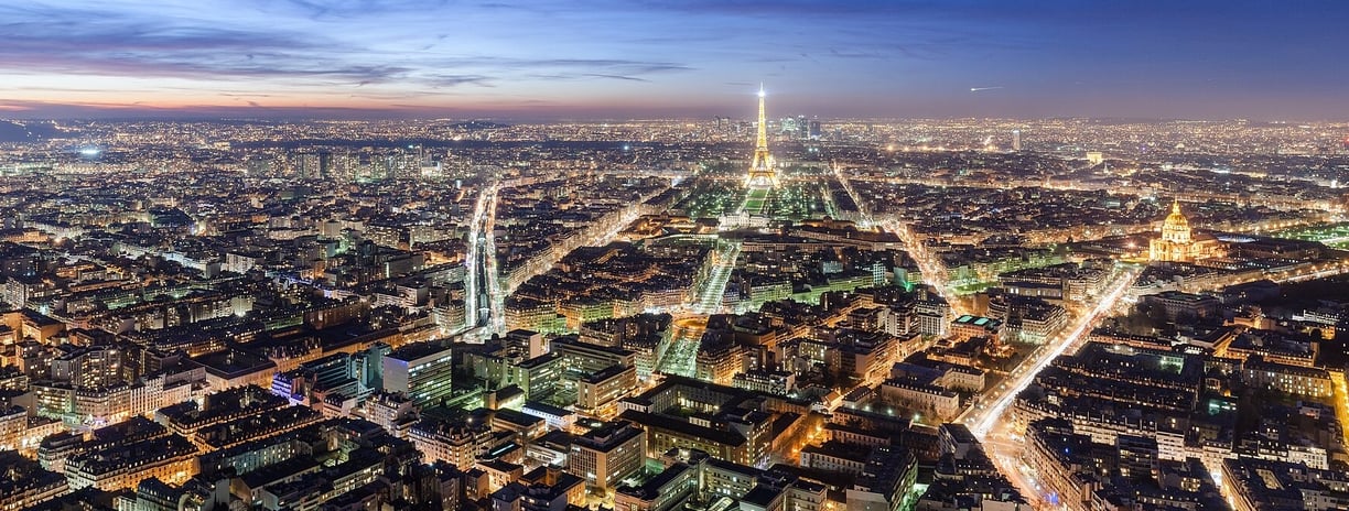 Paris, dératisation paris, dératiseur paris