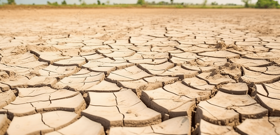 Cracked, dry earth in a drought-stricken area,