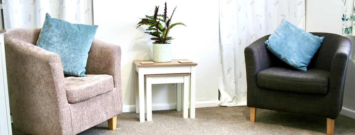 two chairs in counselling room opposite each other with table between with green plant on top