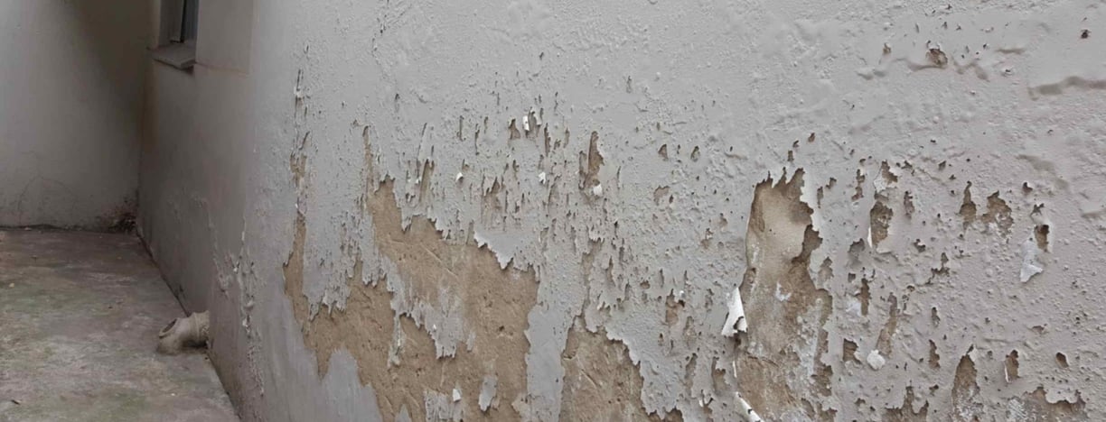 Rising and penetrating Damp Randburg