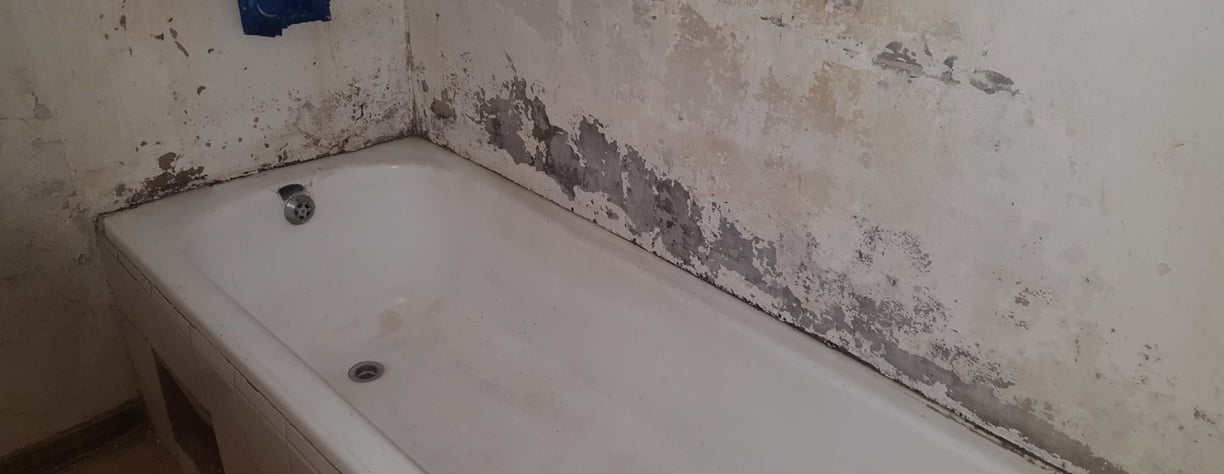 Penetrating Damp
