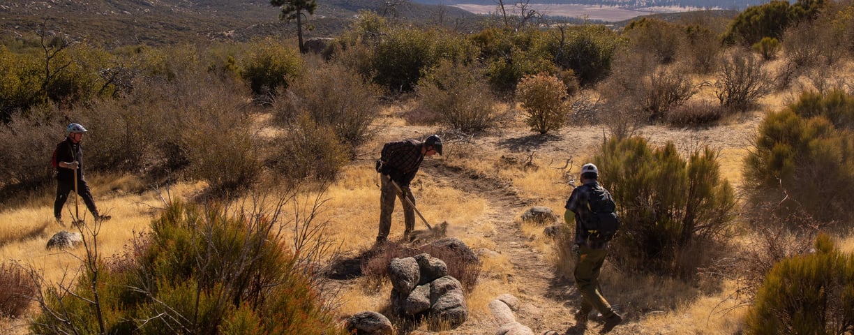 a group of people walking on a trail