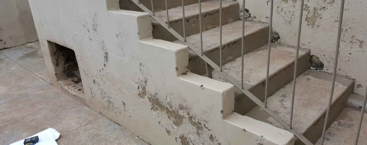 Damp Issues West Rand