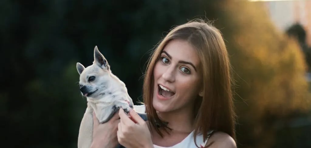 A woman holding a white puppy