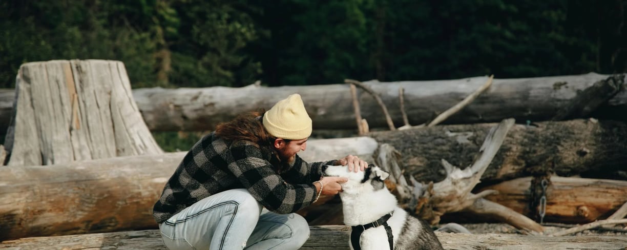 a person playing with their pet