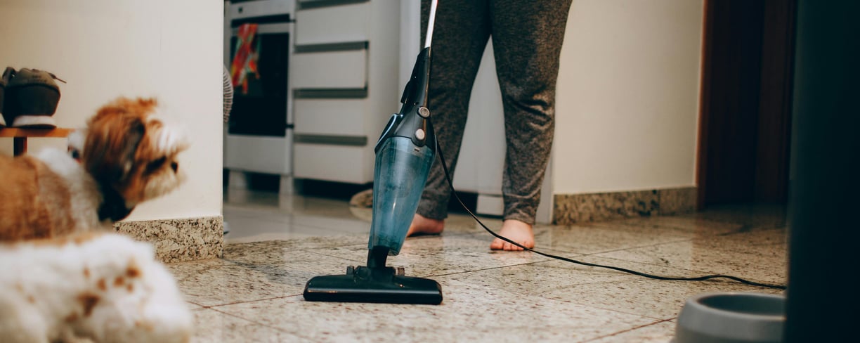 a person vacuuming to prevent fleas spreading