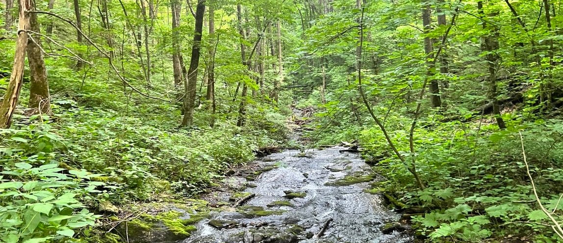 Crossing a Stream while Hiking