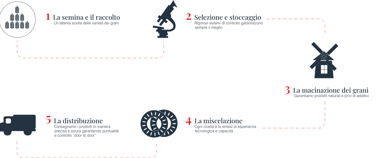 polselli lab
