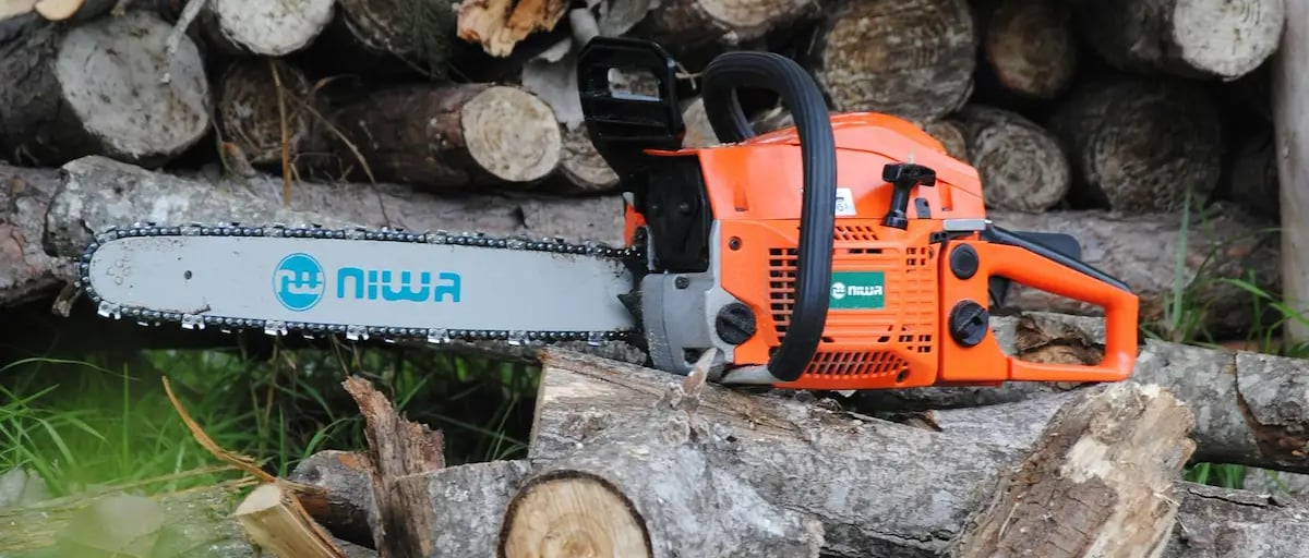 tree felling services