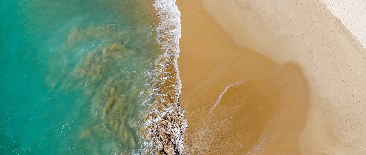 the edge of ocean and beach mark by the waves 