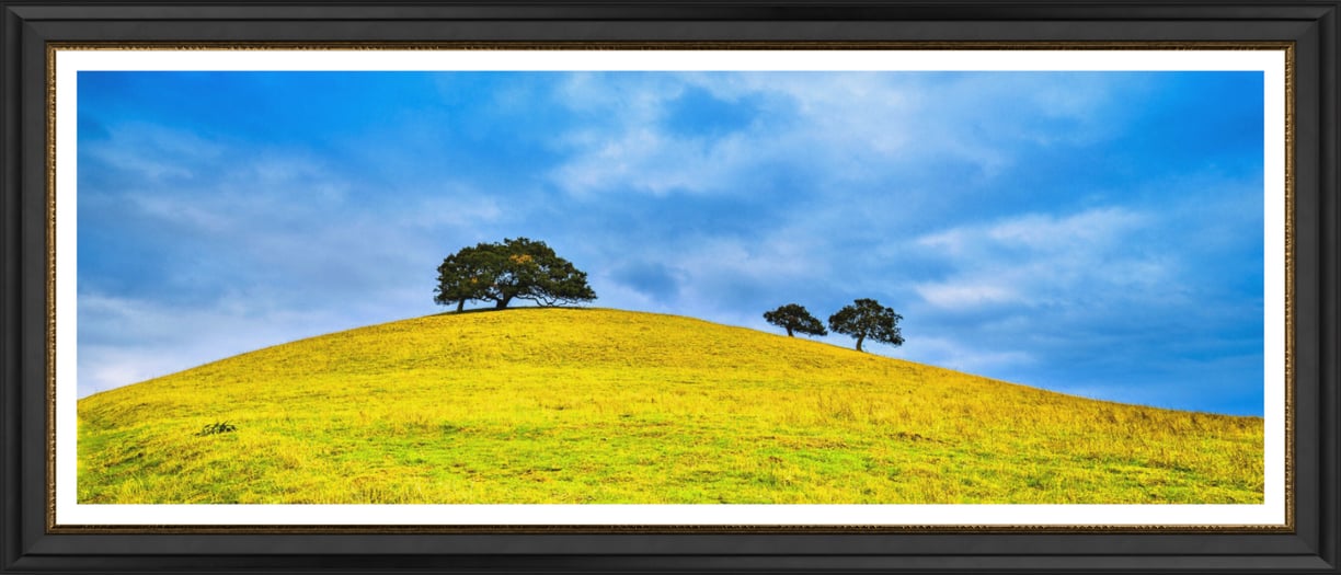 A framed print of Oak trees on a hill