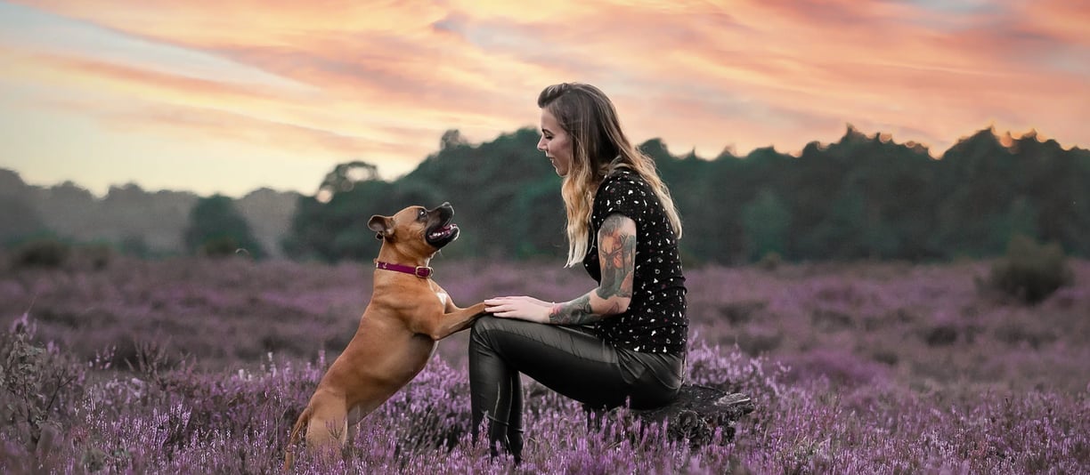 SusaDogs - Susanne mit Ihrem Hunde bei einem Fotoshooting bei Sonnenuntergang