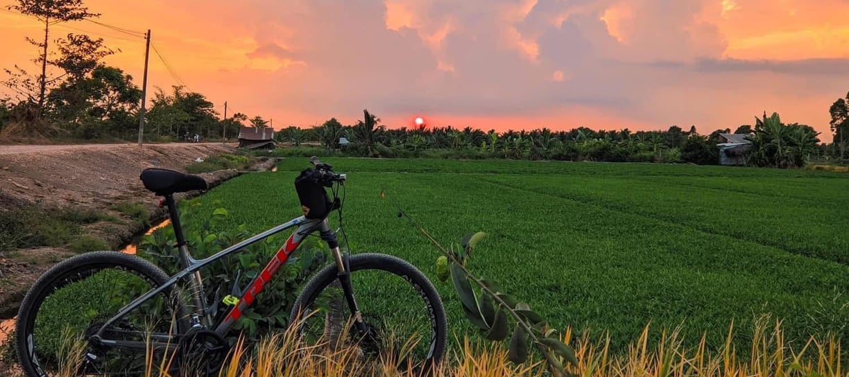 Bicycle path through morning glory fields at sunset near Saigon Garden Homestay.