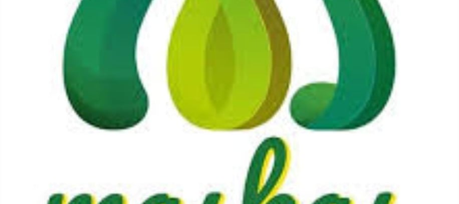 https://maskas.site