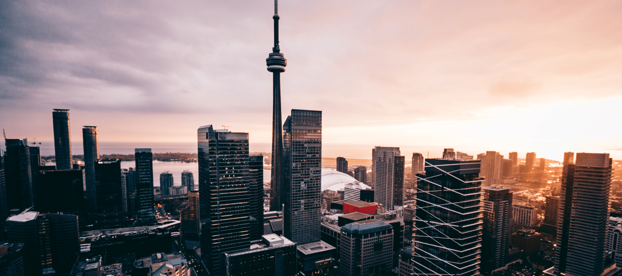 Your Partners in Digital Success | CHPT Digital