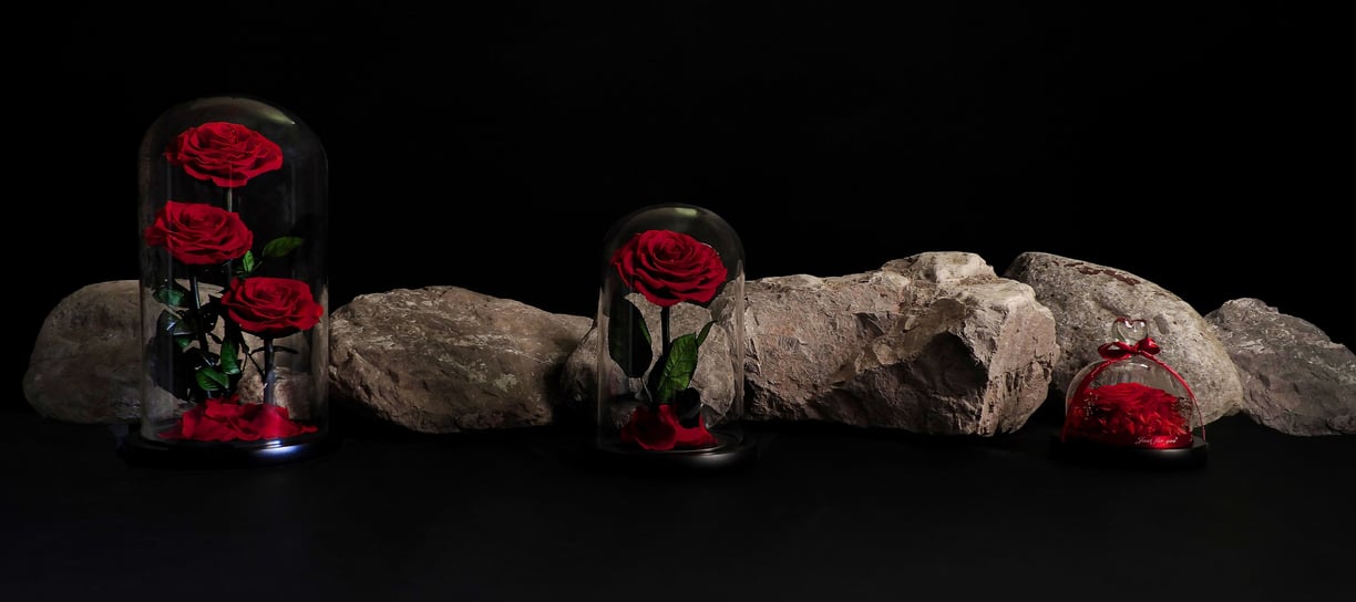 three red roses in a glass dome with a black background_LaPetale Rose_Dubai_alaweer