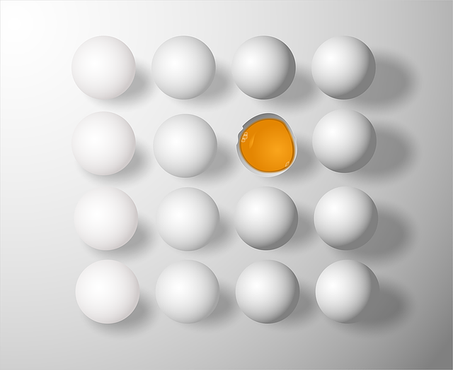 Como Montar Fábricas para Processamento de Ovos