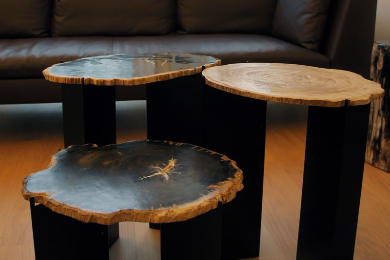 3 Petrified Wood Slices on metal bases as a coffee table