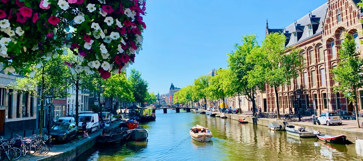 a boat on a river with flowers in the foreground