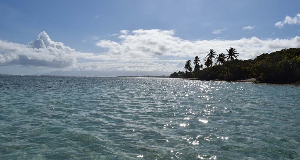 Voyage France Guadeloupe Bois Jolan