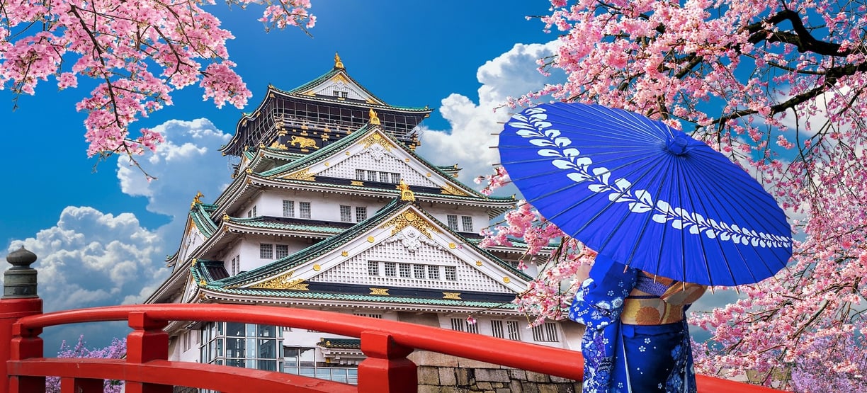 Japan Castle Osaka Kimono Sakura Cherry Blossoms