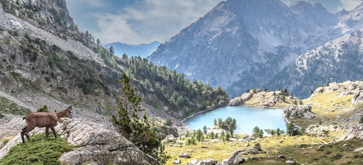 Alps Provence Scenic Mountain Lake Mercantour