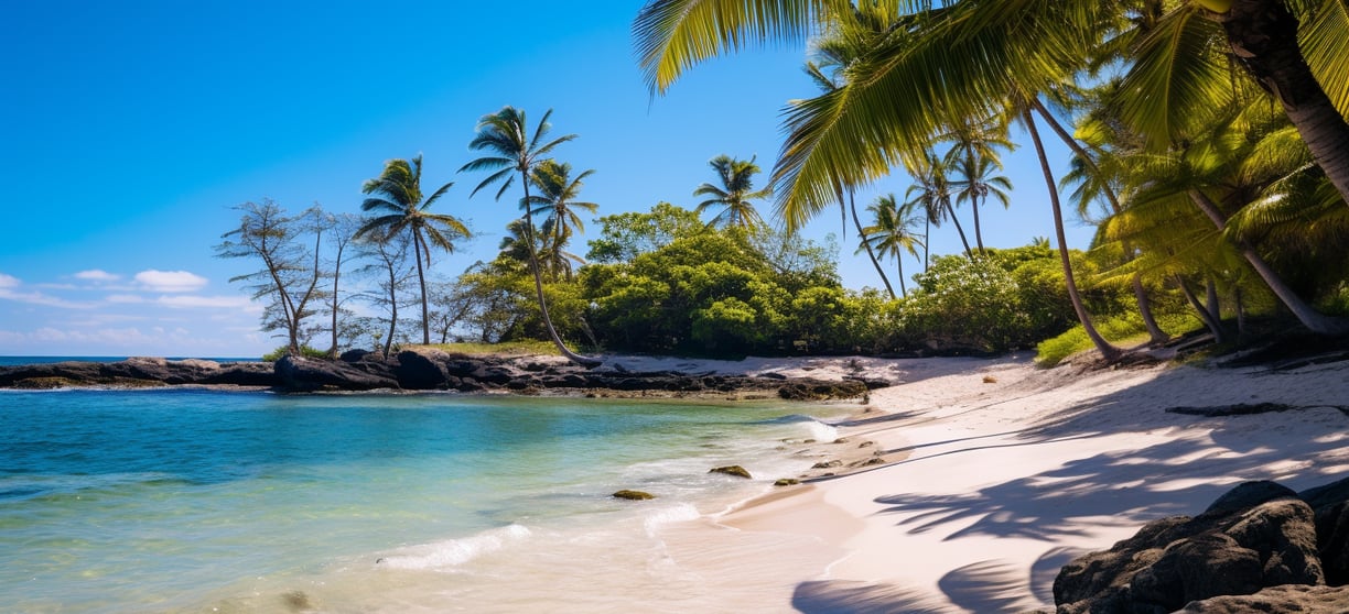 a beach with palm trees and a clear blue sky