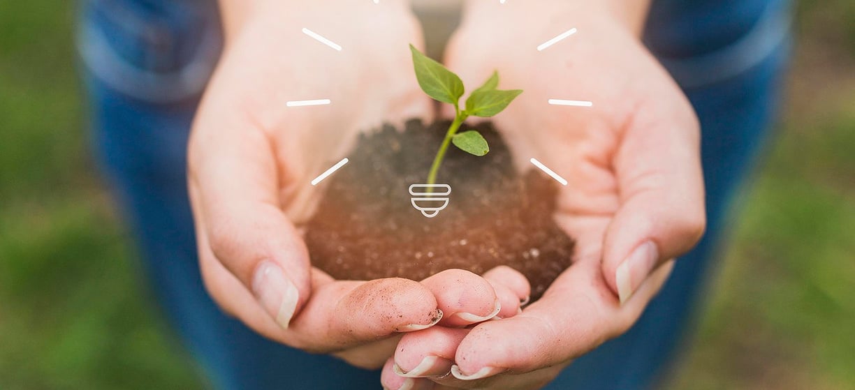 sustentabilidade e eficiência energética